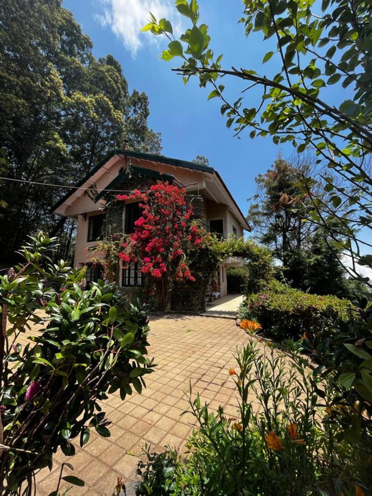 ウーティ Stumpfields Bed & Breakfast エクステリア 写真